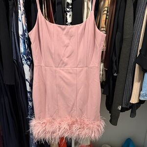 Elegant Pink Feather Trim Dress